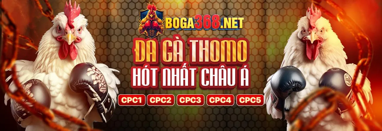 Đấu trường đá gà trực tuyến sôi động tại bong98 hiện đang mở